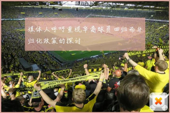媒体人呼吁重视华裔球员回归而非归化政策的探讨