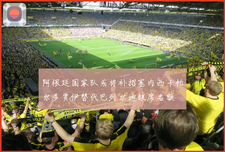 阿根廷国家队或将补招塞内西卡帕尔多贾伊替代巴列尔迪缺席名额